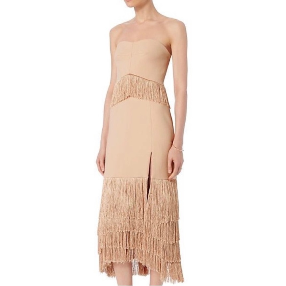 NWT Jonathan Simkhai FW 2016 Nude Fringe Strapless Dress